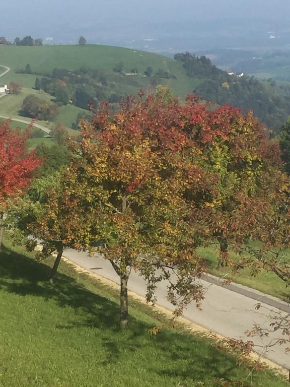 Ferienwohnungen Koessl Waidhofen an der Ybbs Buitenkant foto