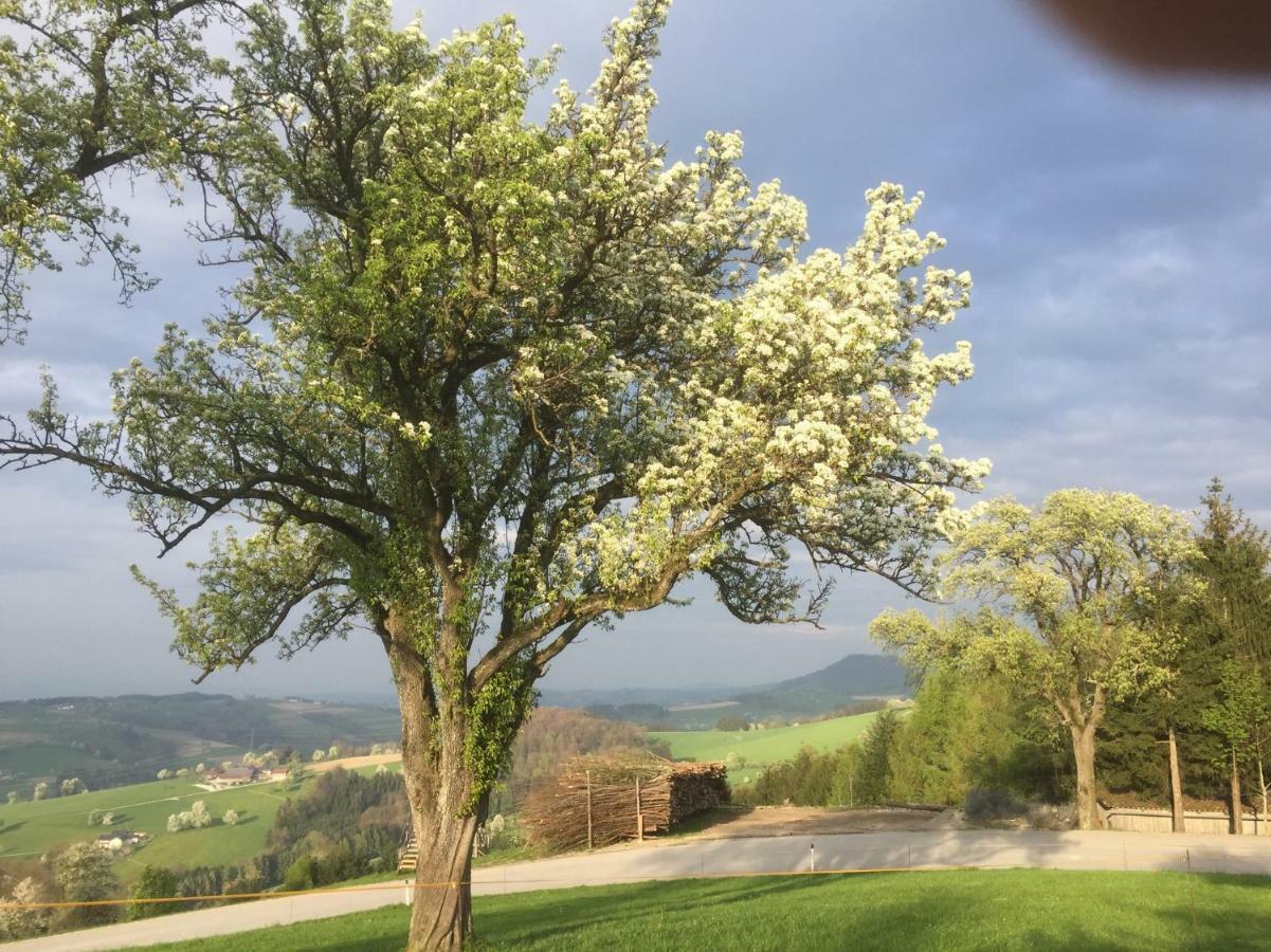 Ferienwohnungen Koessl Waidhofen an der Ybbs Buitenkant foto