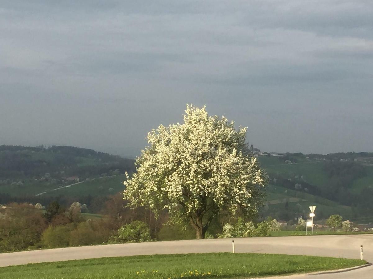 Ferienwohnungen Koessl Waidhofen an der Ybbs Buitenkant foto