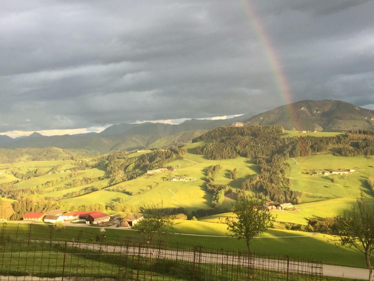 Ferienwohnungen Koessl Waidhofen an der Ybbs Buitenkant foto