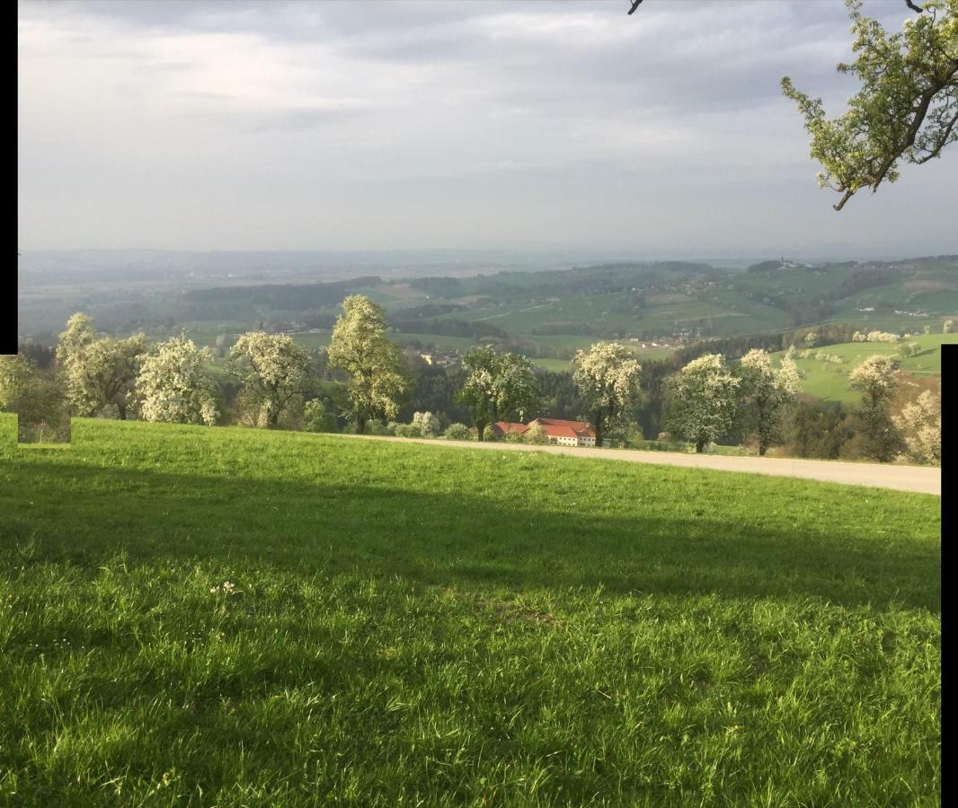 Ferienwohnungen Koessl Waidhofen an der Ybbs Buitenkant foto