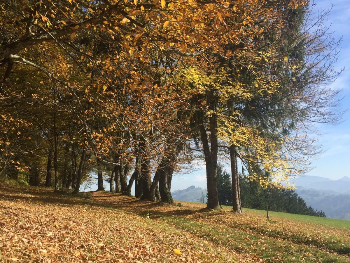Ferienwohnungen Koessl Waidhofen an der Ybbs Buitenkant foto