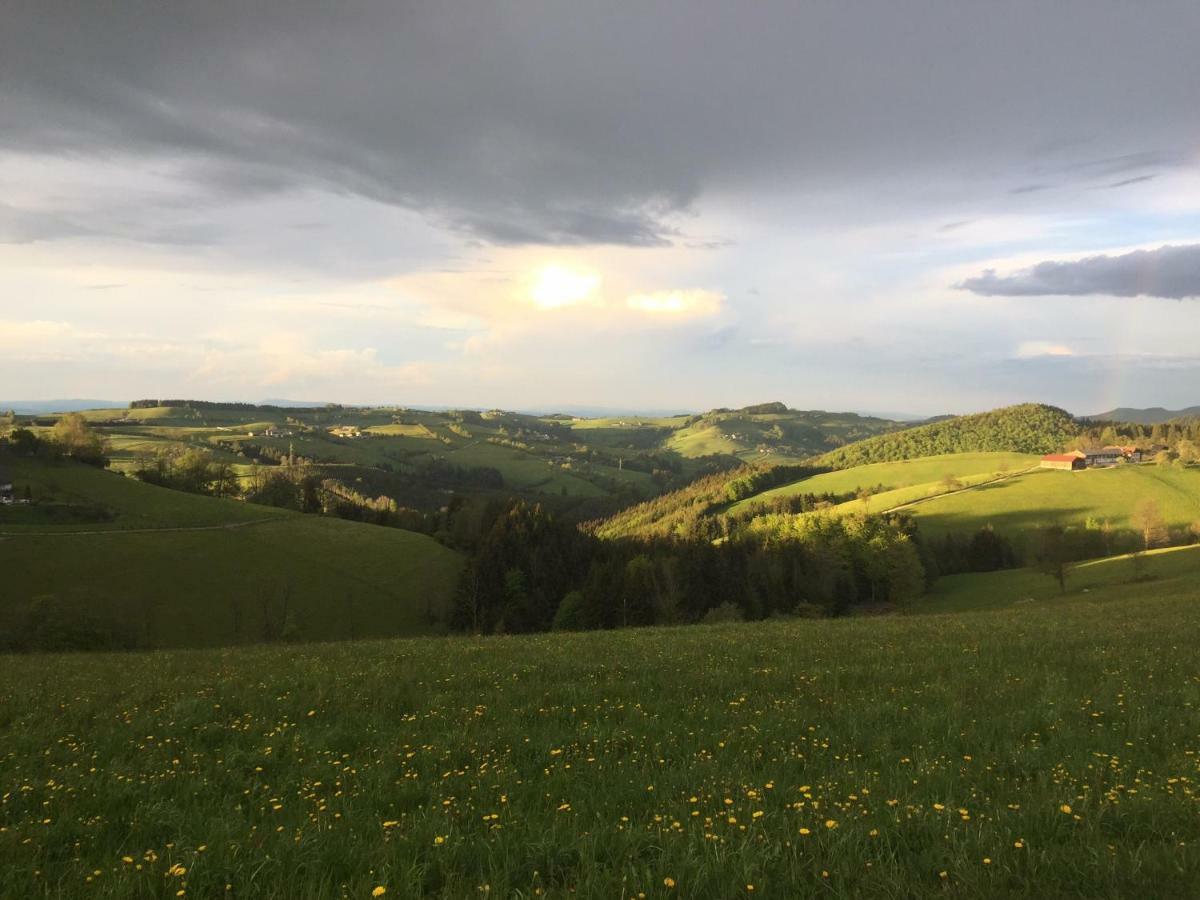 Ferienwohnungen Koessl Waidhofen an der Ybbs Buitenkant foto