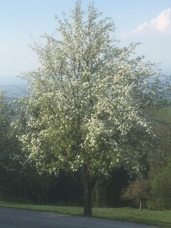 Ferienwohnungen Koessl Waidhofen an der Ybbs Buitenkant foto