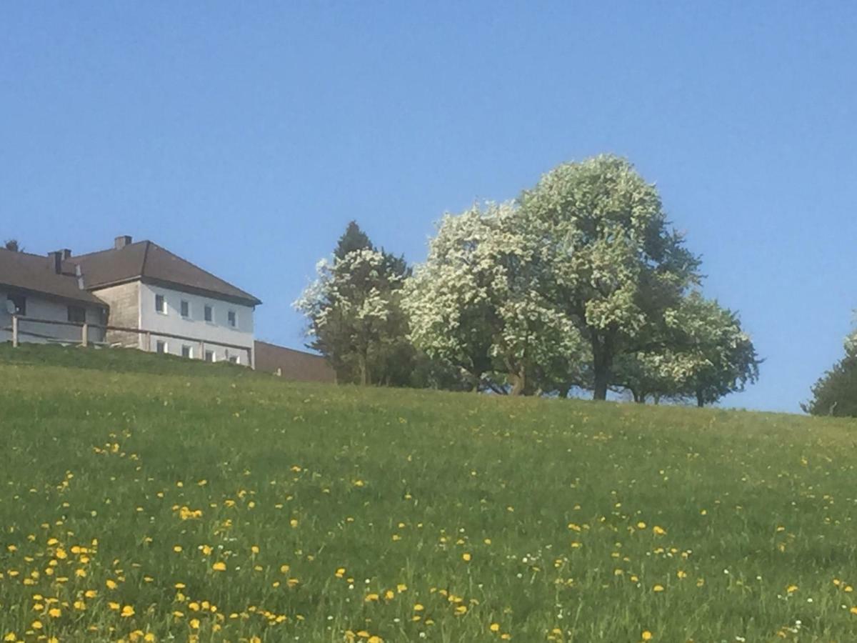Ferienwohnungen Koessl Waidhofen an der Ybbs Buitenkant foto