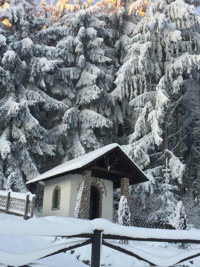 Ferienwohnungen Koessl Waidhofen an der Ybbs Buitenkant foto