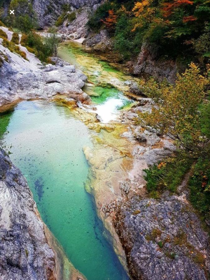 Ferienwohnungen Koessl Waidhofen an der Ybbs Buitenkant foto